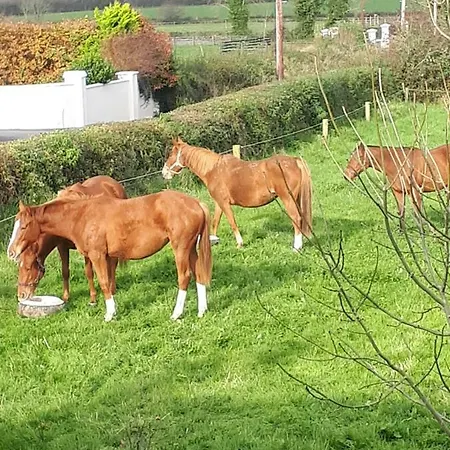 Cosy Ireland * Kilkenny