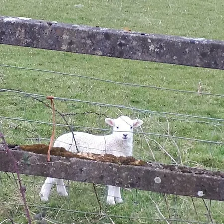 Cosy Ireland Kilkenny