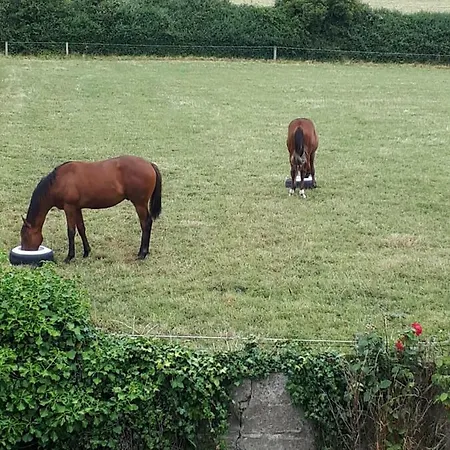 Hébergement de vacances Cosy Ireland Kilkenny